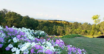 Wine Country Villas - Accommodation Directory 27