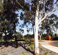 Box Hill Studios at Canterbury Gardens - Accommodation Directory