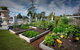 Katoomba Manor - thumb 23