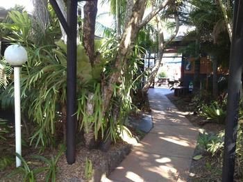 Noosa Backpackers Resort - Hostel - Accommodation Directory 15