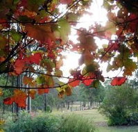 Elfin Hill Country Accommodation - Accommodation Directory