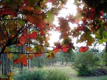 Elfin Hill Country Accommodation - Accommodation Directory 0