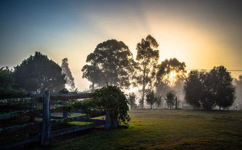 Elfin Hill Country Accommodation - Accommodation Directory 10