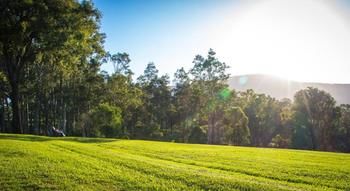 Elfin Hill Country Accommodation - Accommodation Directory 18