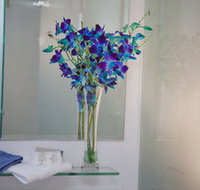 Grand Hotel Wyong - Accommodation Directory