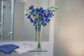 Grand Hotel Wyong - Accommodation Directory 0