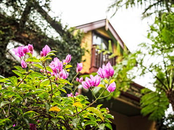 The Regents Park - Accommodation Directory 3