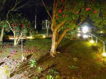 Aquila Nova Retreat - Accommodation Directory 43