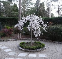 Corner Manor Leura - Accommodation Directory