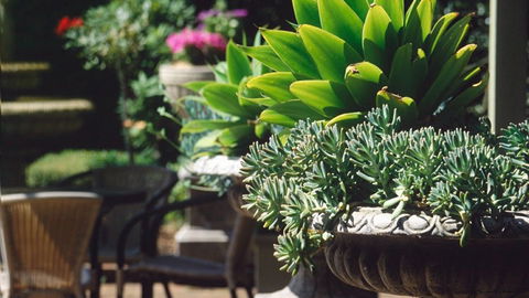 Best Western Plus The Tudor Box Hill - Accommodation Directory 2