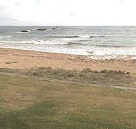 Penguin Caravan Park - Accommodation Directory