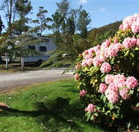 Zeehan Bush Camp  and Caravan Park - Accommodation Directory