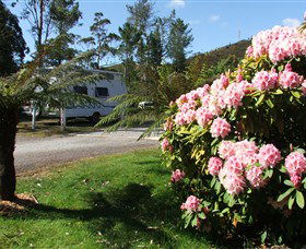Zeehan Bush Camp  And Caravan Park - Accommodation Directory 0