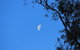 Gentle Annie Caravan And Camping Reserve - thumb 4
