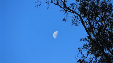 Gentle Annie Caravan And Camping Reserve - Accommodation Directory 4