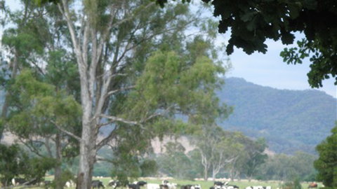 Gentle Annie Caravan And Camping Reserve - Accommodation Directory 3