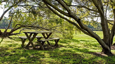 Freshwater Creek Cottages - Accommodation Directory 4