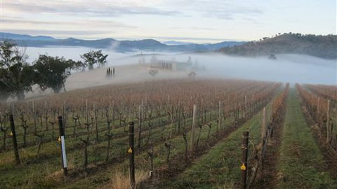 Valley View Caravan Park - Accommodation Directory 5