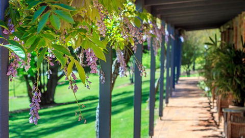 Bright Mystic Valley Holiday Units - Accommodation Directory 4