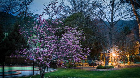 Bright Mystic Valley Holiday Units - Accommodation Directory 2