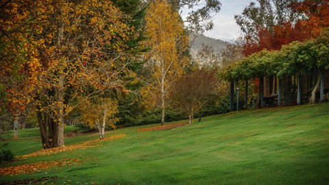 Bright Mystic Valley Holiday Units - Accommodation Directory 7