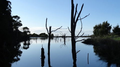 A Fare With Nature @ Prom Road Farm - Accommodation Directory 6