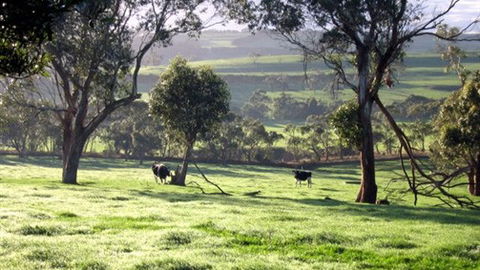 Bellevue Farmstay - Accommodation Directory 0