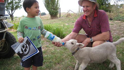 Bellevue Farmstay - Accommodation Directory 1