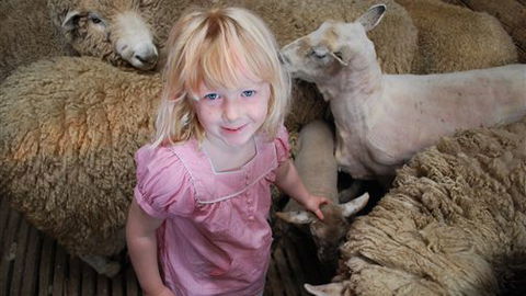 Bellevue Farmstay - Accommodation Directory 4