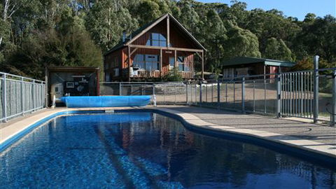 Karoonda Olive Grove Retreat At Mt Buffalo Olives - Accommodation Directory 0