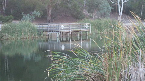 Mallard House Ballarat - Accommodation Directory 5