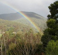 Wattletree Cottage - Accommodation Directory