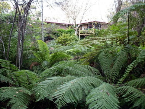 Adelaide Hills Bed & Breakfast Accommodation - Accommodation Directory 3