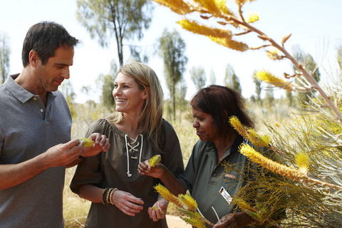 Ayers Rock Campground - Accommodation Directory 2