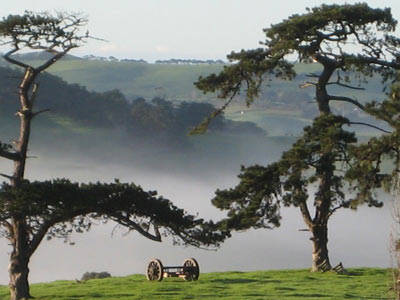 Benaway Cottages - Accommodation Directory 3