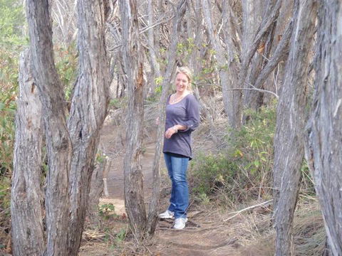 BIG4 Tathra Beach Holiday Park - Accommodation Directory 7