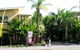 Coconut Palms On The Bay - thumb 1