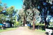 Cudal NSW Accommodation Directory