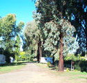 Cudal Caravan Park - Accommodation Directory