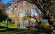 Daylesford Lake Villas - thumb 4