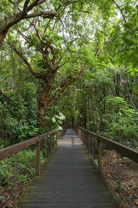 Hotel Grand Chancellor Palm Cove - Accommodation Directory 1