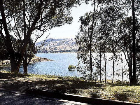 Ibis Styles Albury Lake Hume Resort - Accommodation Directory 1