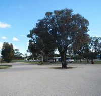 Keith Caravan Park - Accommodation Directory