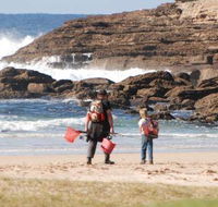 Merry Beach Caravan Resort - Accommodation Directory