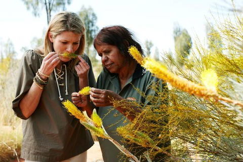Outback Pioneer Hotel - Accommodation Directory 6