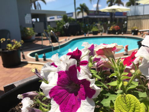 Main Street Motel - Accommodation Directory 0