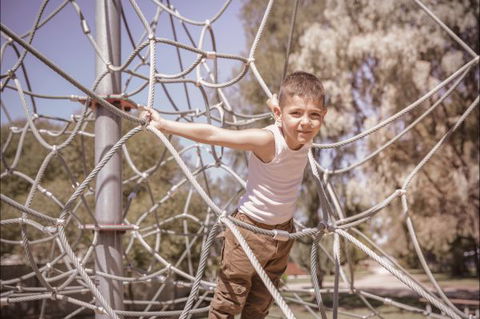 BIG4 Swan Hill - Accommodation Directory 16
