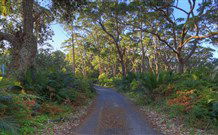 BIG4 South Durras Holiday Park - Accommodation Directory 4