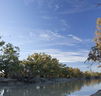 Darling River campground - Accommodation Directory