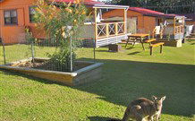 Durras Lake North Holiday Park - Accommodation Directory 1